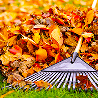 Jardinnages & Entretiens